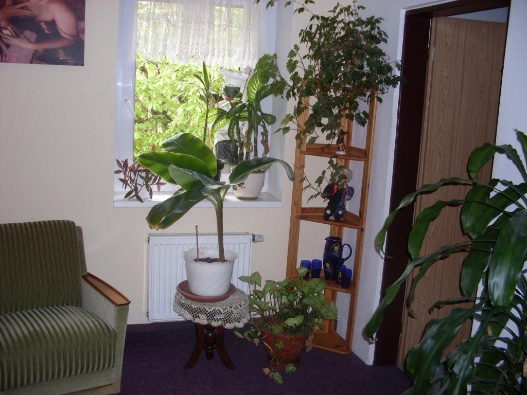 Pension U Kastanu Karlovy Vary Bilik gambar